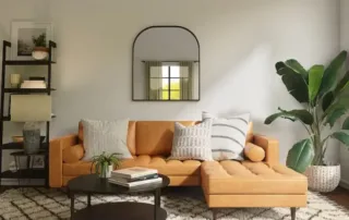 Living room sofa and a large green plant in the corner interior house painting tips
